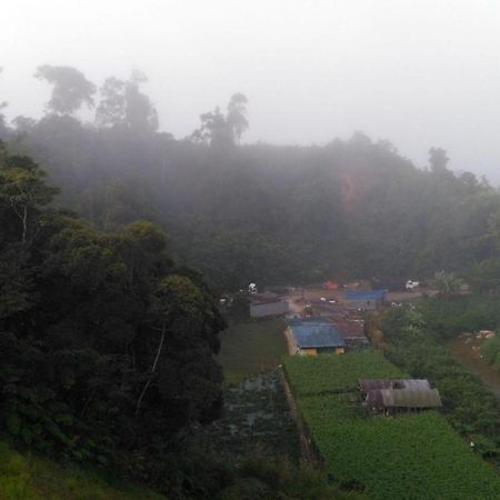 松树酒店 Kampung Kuala Terla 外观 照片