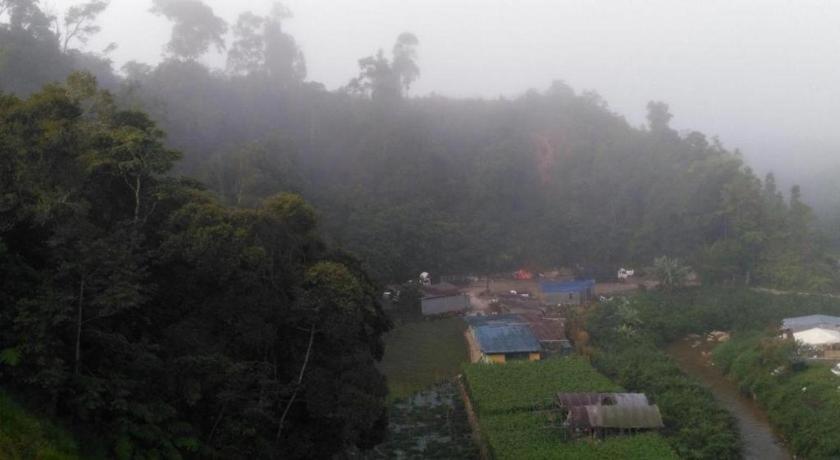 松树酒店 Kampung Kuala Terla 外观 照片