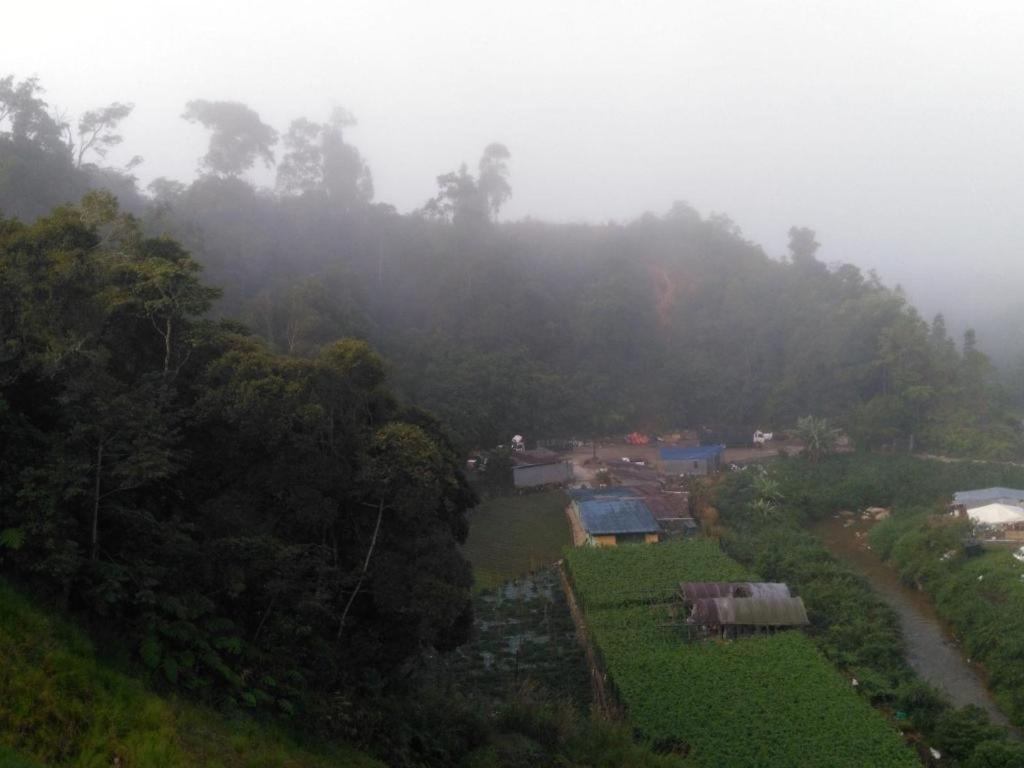 松树酒店 Kampung Kuala Terla 外观 照片
